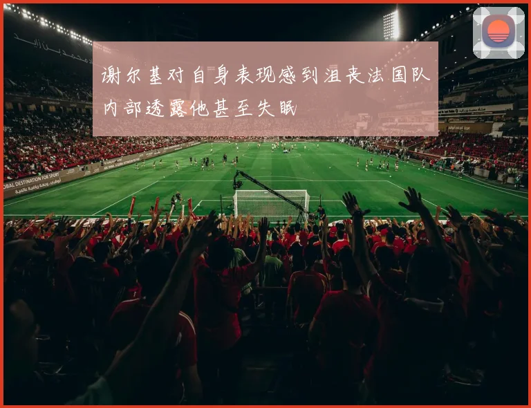 谢尔基对自身表现感到沮丧法国队内部透露他甚至失眠